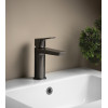 Baterie lavoar gun metal Aqualine Flery