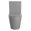 Vas WC cu rezervor monobloc culoare gri Sapho Paco