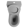 Vas WC cu rezervor monobloc culoare gri Sapho Paco