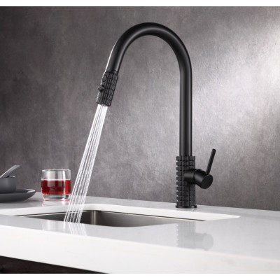 Baterie chiuveta bucatarie dus extractibil doua functii elemente gravate Unixa Essence