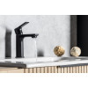 Baterie lavoar Sapho Pax neagra