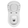 WC suspendat alb mat semirotund Isvea Infinity WC suspendat alb mat semirotund Isvea Infinity